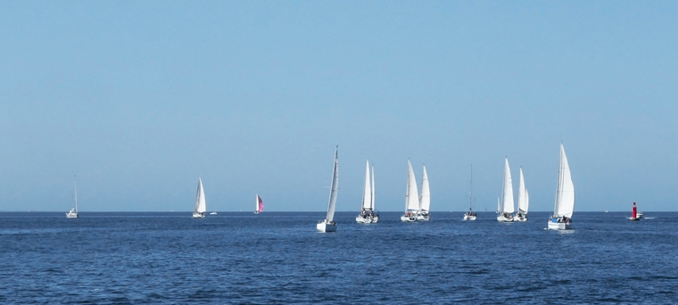 P1058007_760.jpg