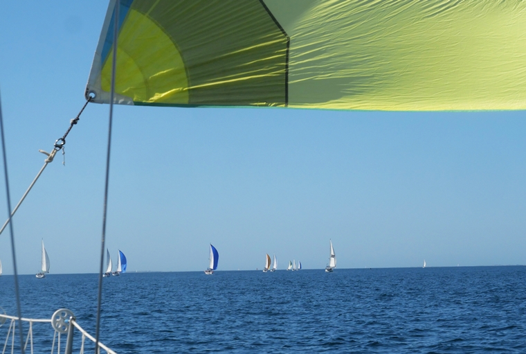 P1058026_760.jpg