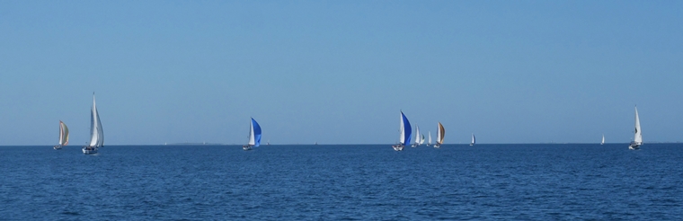 P1058031_760.jpg